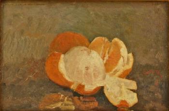 Ion Andreescu : Peeled orange